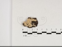 登錄號:F0033936藏品圖，第1張