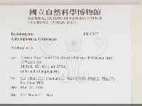 擬射脈菌屬藏品圖，第2張