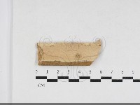 登錄號:F0033940藏品圖，第1張