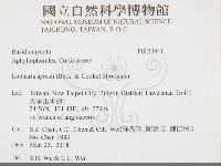 登錄號:F0033941藏品圖，第2張