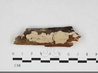 登錄號:F0033941藏品圖，第1張