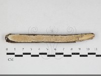 登錄號:F0033942藏品圖，第1張