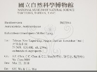 登錄號:F0033944藏品圖，第2張