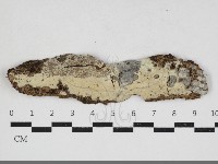 登錄號:F0033944藏品圖，第1張