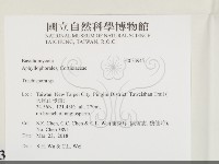 登錄號:F0033945藏品圖，第2張