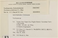 登錄號:F0033945藏品圖，第3張