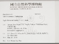 登錄號:F0033946藏品圖，第2張