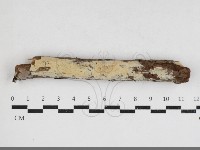 登錄號:F0033946藏品圖，第4張