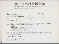 刺皮菌屬藏品圖，第2張