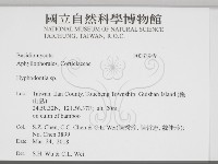 登錄號:F0033949藏品圖，第2張