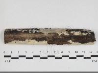登錄號:F0033949藏品圖，第1張