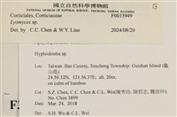 登錄號:F0033949藏品圖，第3張