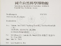 登錄號:F0033951藏品圖，第2張