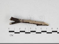 登錄號:F0033951藏品圖，第1張