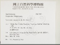 血紅密孔菌藏品圖，第2張