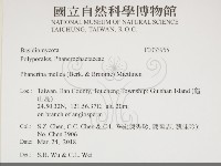 登錄號:F0033955藏品圖，第2張