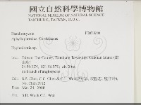 絲齒菌屬藏品圖，第2張