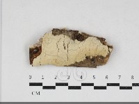 登錄號:F0033961藏品圖，第1張