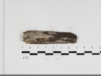 登錄號:F0033965藏品圖，第1張