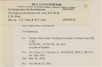 登錄號:F0033969藏品圖，第3張