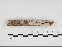 登錄號:F0033973藏品圖，第1張