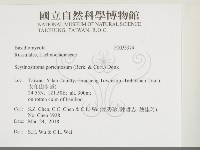 登錄號:F0033974藏品圖，第2張