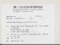 登錄號:F0033976藏品圖，第2張