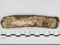 登錄號:F0033976藏品圖，第1張