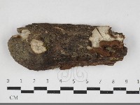 登錄號:F0033977藏品圖，第1張