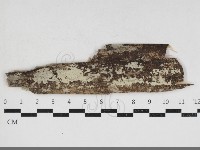 登錄號:F0033979藏品圖，第1張