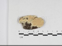 登錄號:F0033980藏品圖，第1張