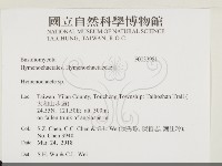 刺革菌屬藏品圖，第2張