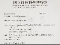 登錄號:F0033984藏品圖，第2張