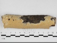 登錄號:F0033984藏品圖，第1張