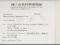 刺革菌屬藏品圖，第2張