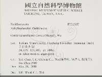 登錄號:F0033987藏品圖，第2張