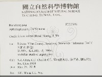 登錄號:F0033988藏品圖，第2張