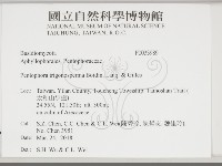 登錄號:F0033989藏品圖，第2張