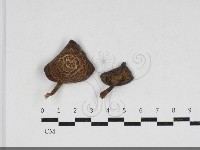 登錄號:F0033991藏品圖，第1張