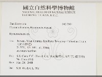 刺革菌屬藏品圖，第2張