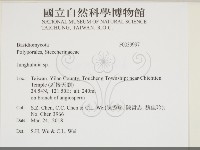 容氏菌屬藏品圖，第2張