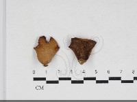 登錄號:F0033999藏品圖，第1張