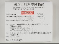 黃荊桑黃藏品圖，第2張
