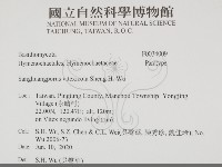 黃荊桑黃藏品圖，第2張