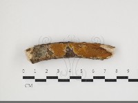 登錄號:F0034011藏品圖，第1張