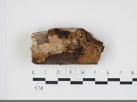 登錄號:F0034013藏品圖，第1張