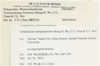 登錄號:F0034013藏品圖，第3張