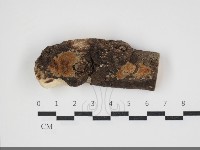 登錄號:F0034014藏品圖，第1張