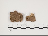 登錄號:F0034017藏品圖，第1張