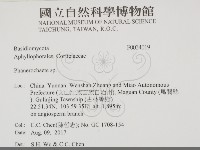 顯絲菌屬藏品圖，第2張